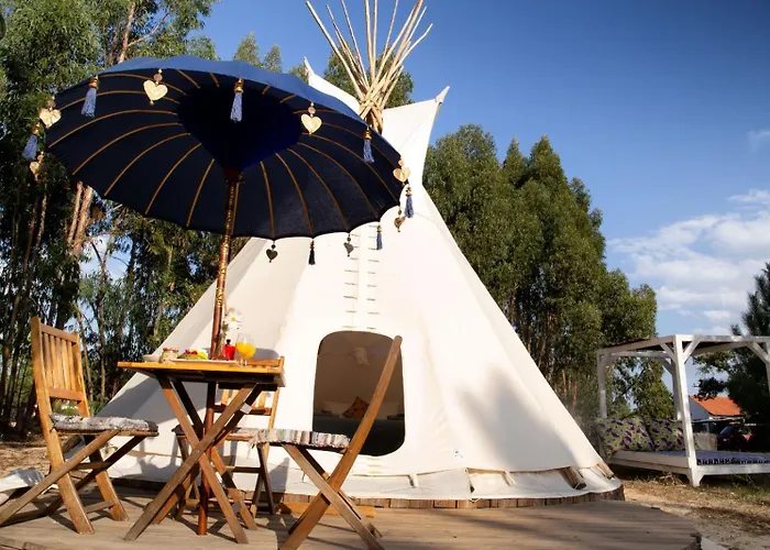Goodmuda Tipi\'S